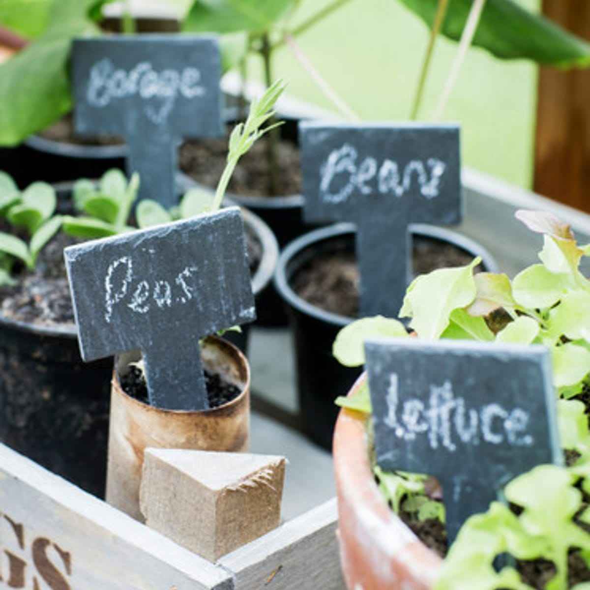 Classic Greenhouse Tags with Chalk - Slate, Natural, Set of 6