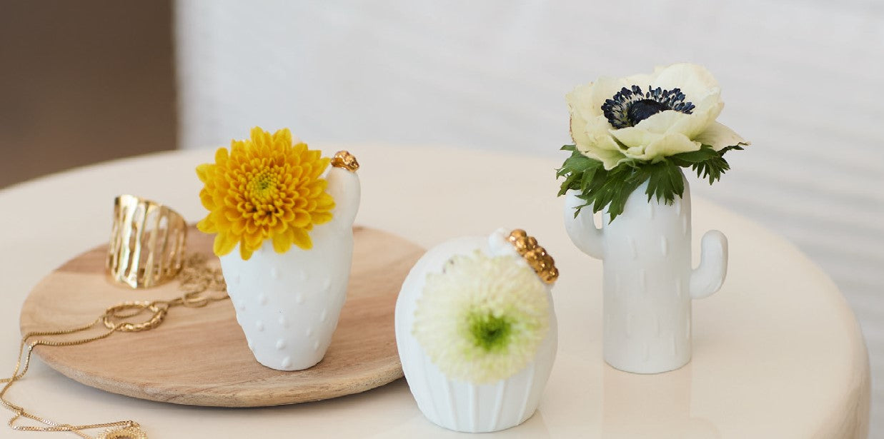 Mini Cactus Vases - WowCornwall