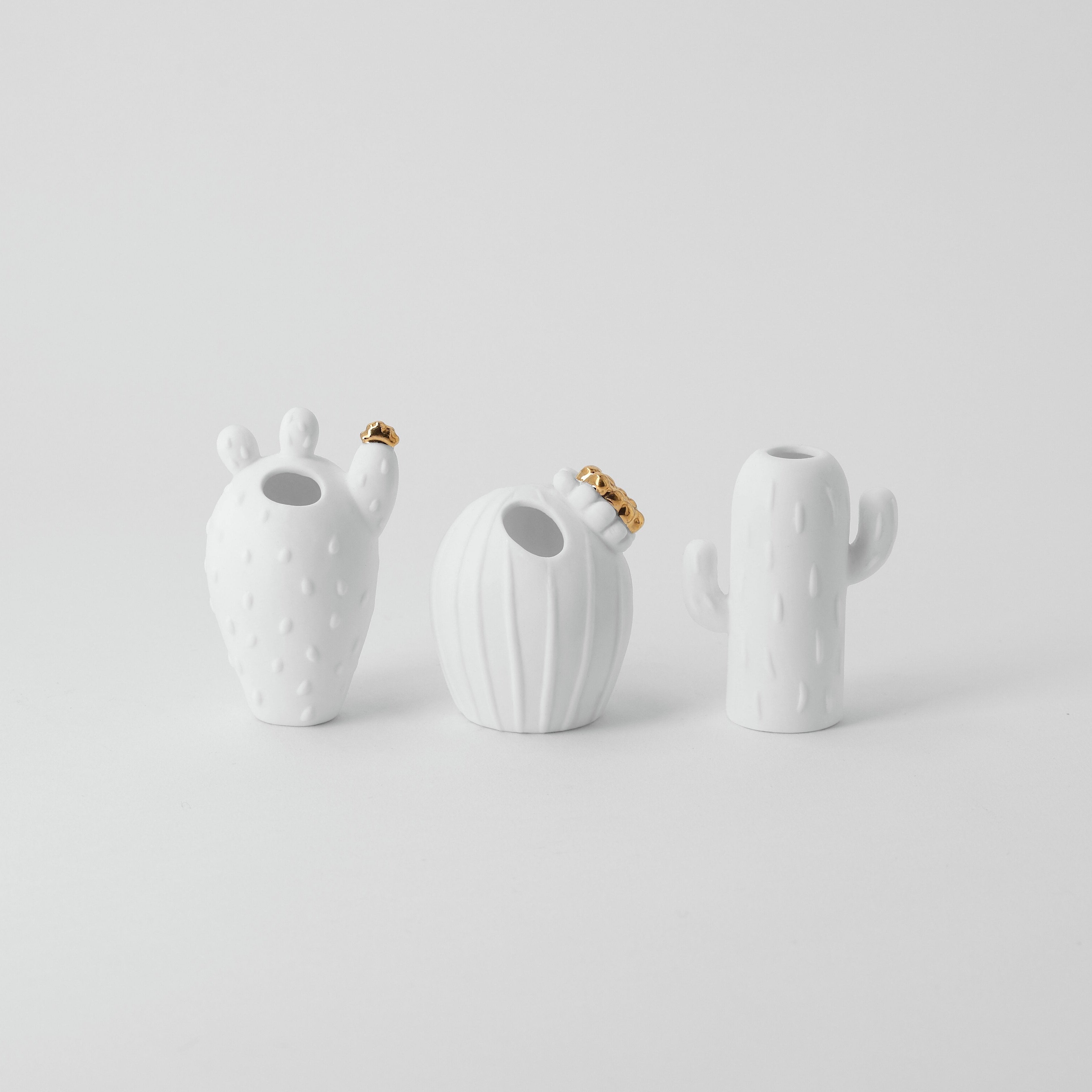 Mini Cactus Vases - WowCornwall