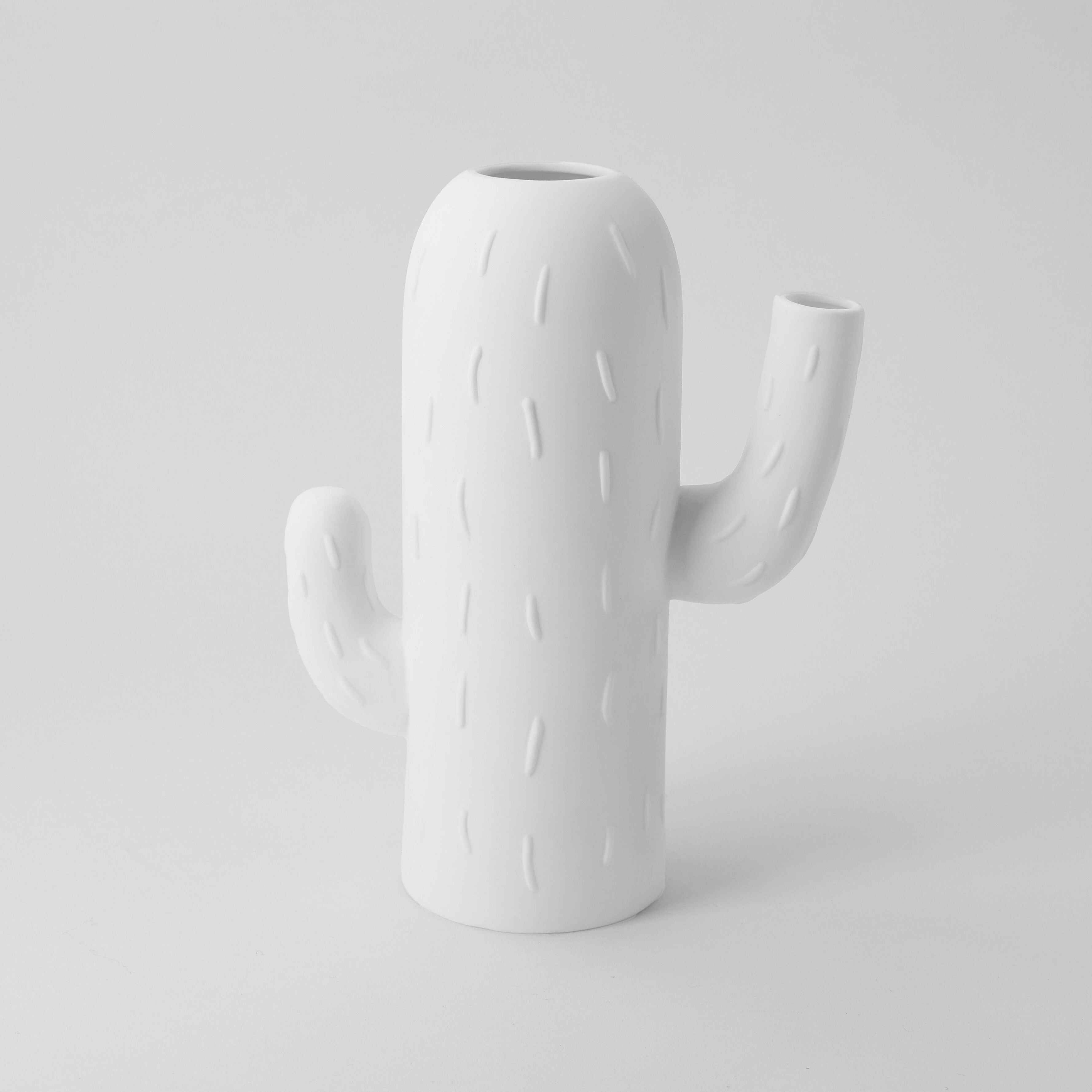 Large Cactus Vase - WowCornwall