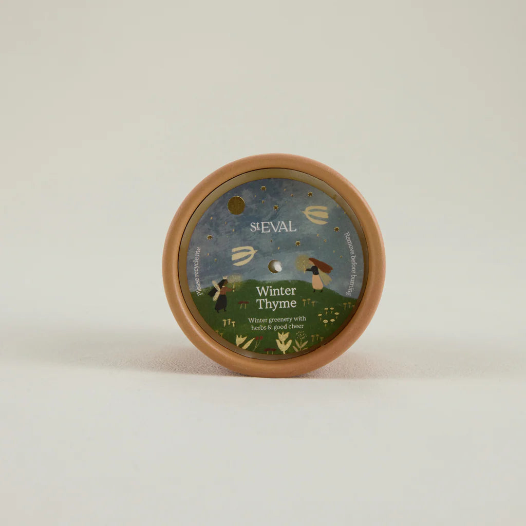 Winter Thyme, Star Gazy Pot - WowCornwall