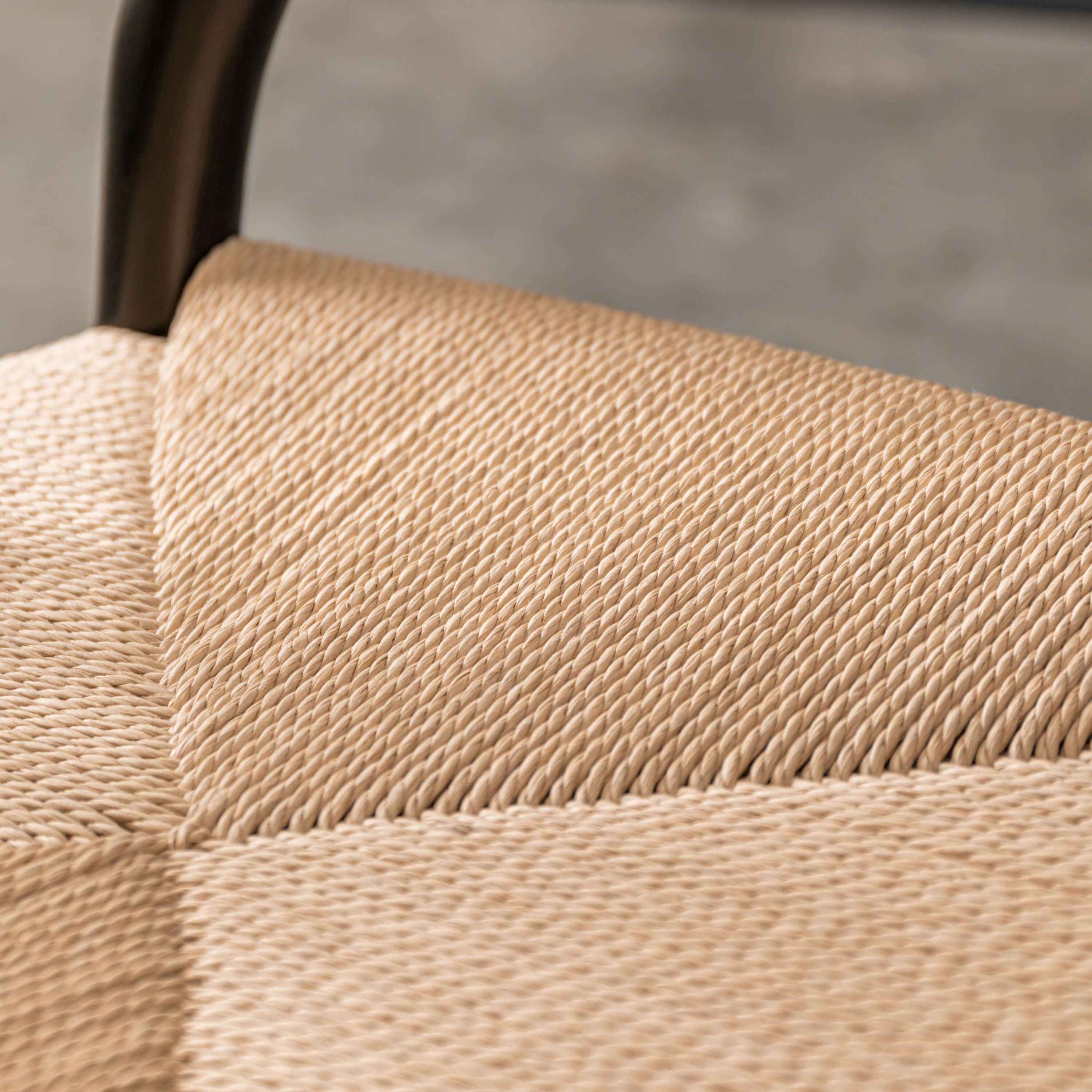 Whitney Chair Black (2pk)