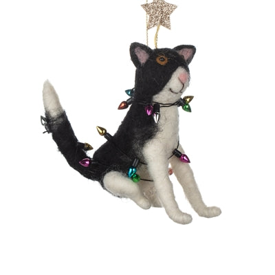 Cat in fairy lights - WowCornwall