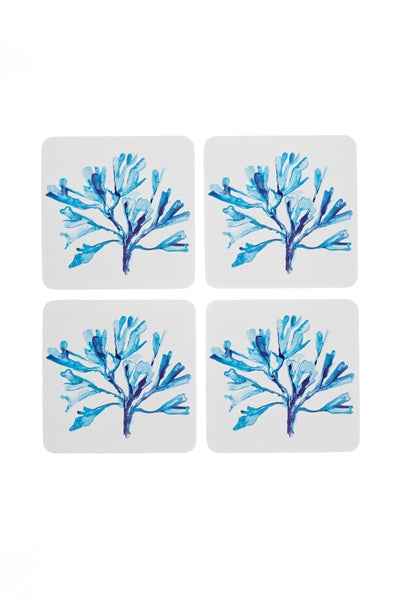 Seaweed Coaster Sets of 4 by Shoeless Joe