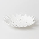 Rader Star Bowl - WowCornwall