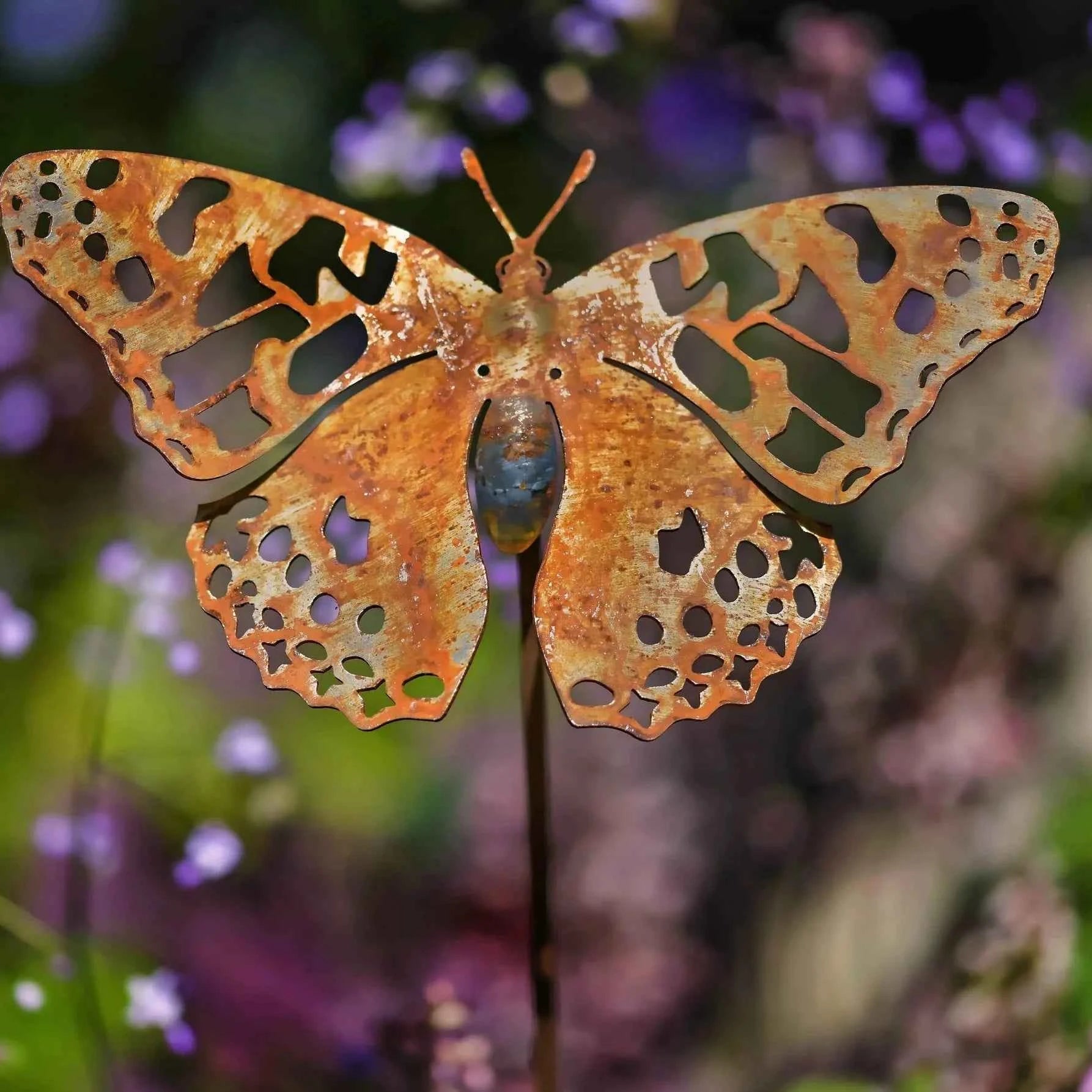 Painted Lady Butterfly