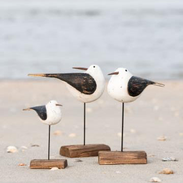 Bird on stick with head turned back Nautico - WowCornwall