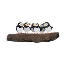 Circus of Eight Puffins - WowCornwall