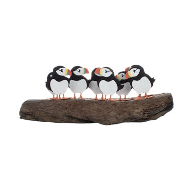 Circus of Eight Puffins - WowCornwall