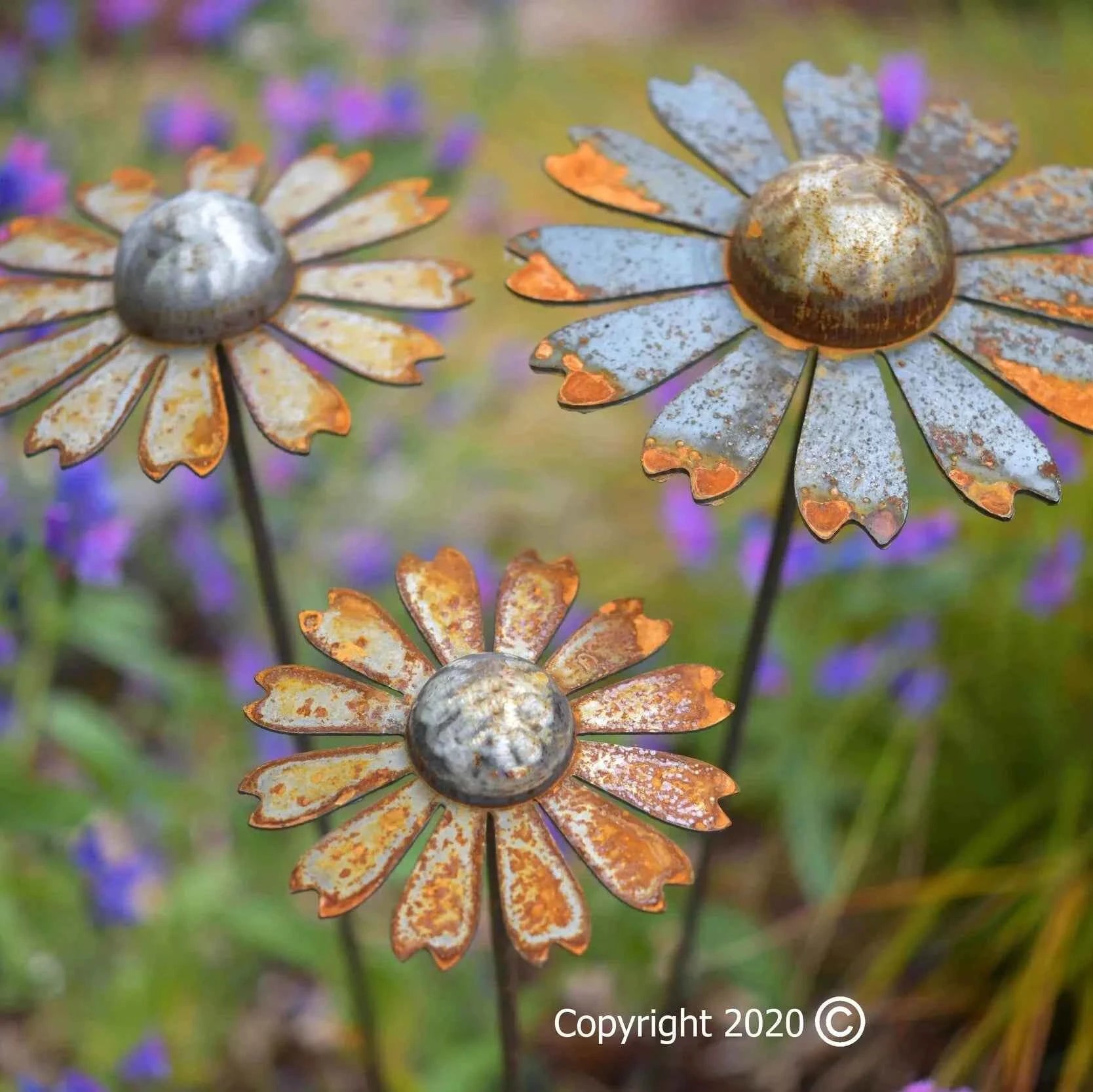 Cosmic daisies, 3 sizes