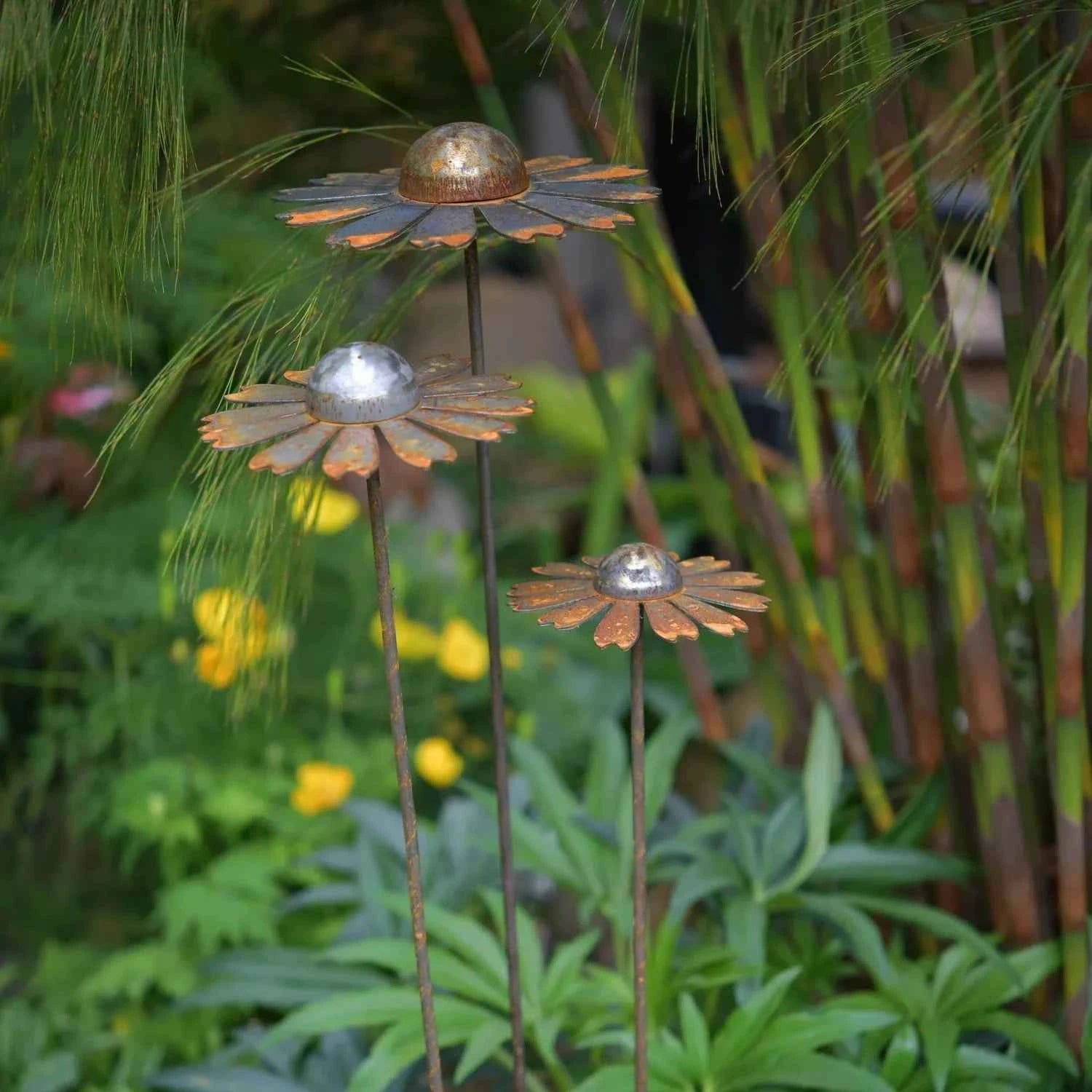 Cosmic daisies, 3 sizes