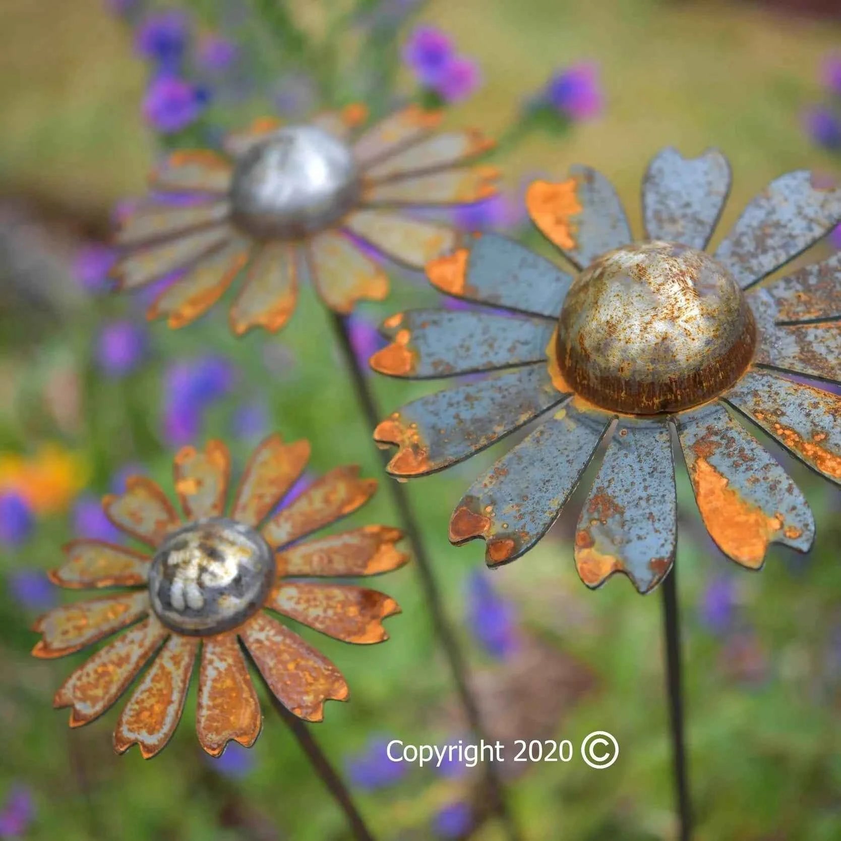 Cosmic daisies, 3 sizes