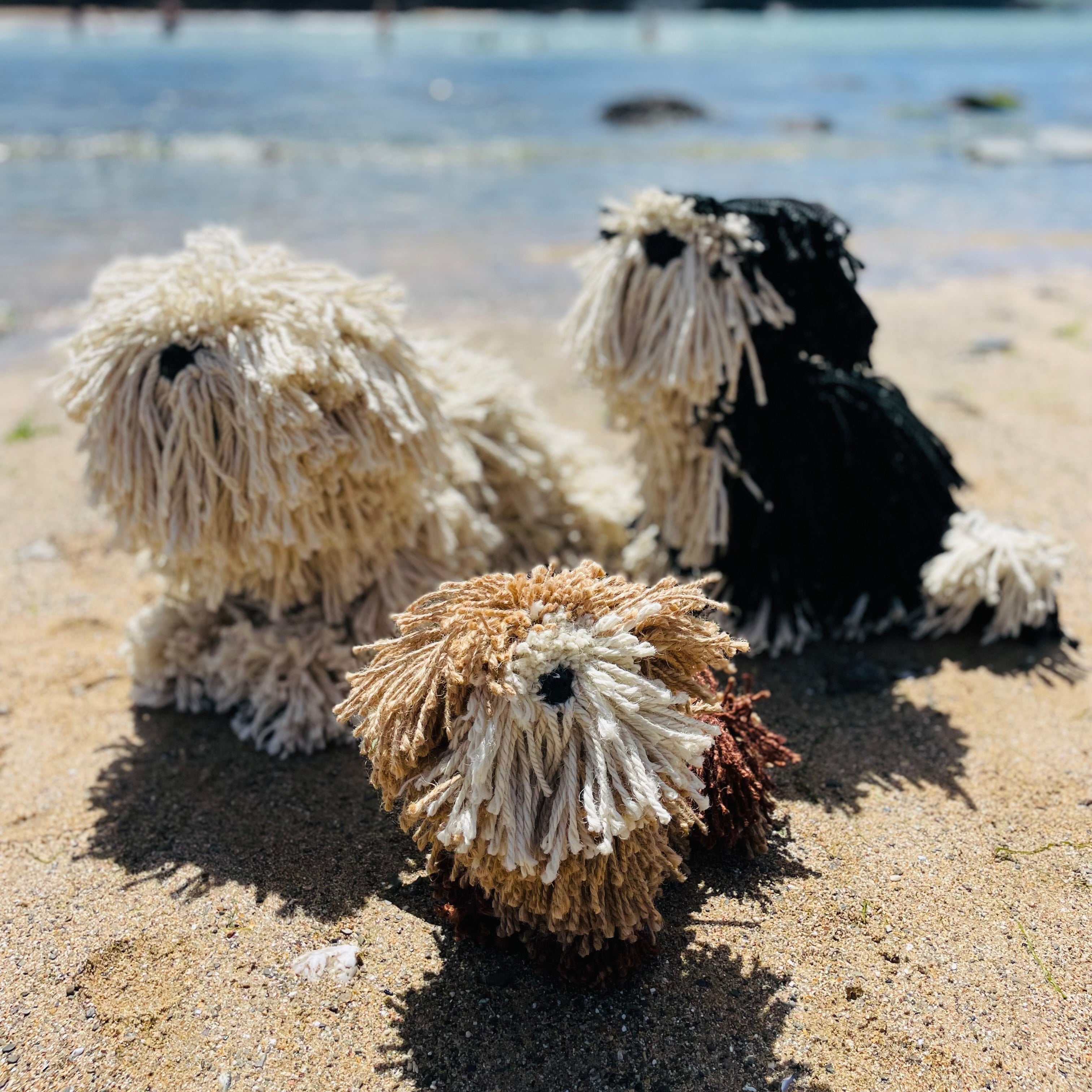 Three stuffed dog toys on a sandy beach with ocean and sky in the background
