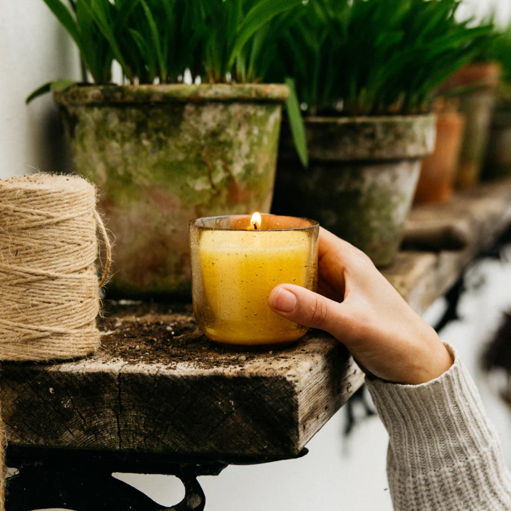 Ginger & Lemongrass, Sea Garden Glass Candle - WowCornwall