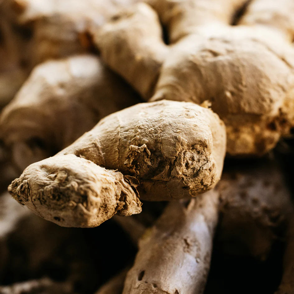 Ginger & Lemongrass, Sea Garden Glass Candle - WowCornwall