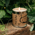 Green Vine, Scented Tin Candle - WowCornwall