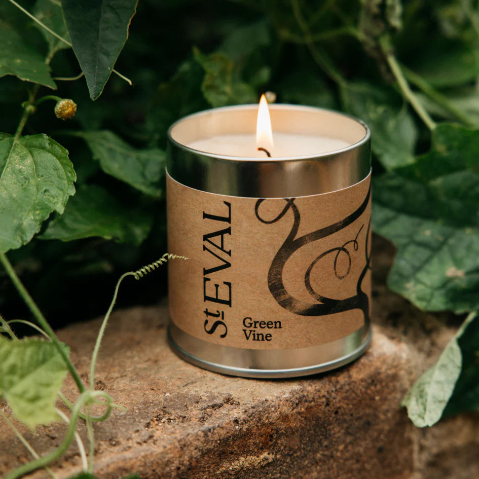 Green Vine, Scented Tin Candle - WowCornwall