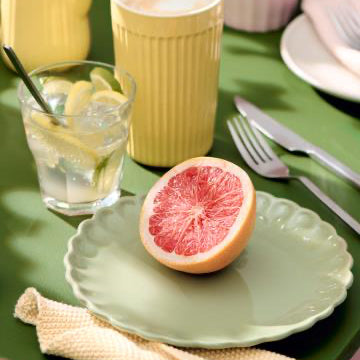 Mynte Scallop Plate in nine colours - WowCornwall