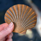 Rusty Seashell sculpture - WowCornwall