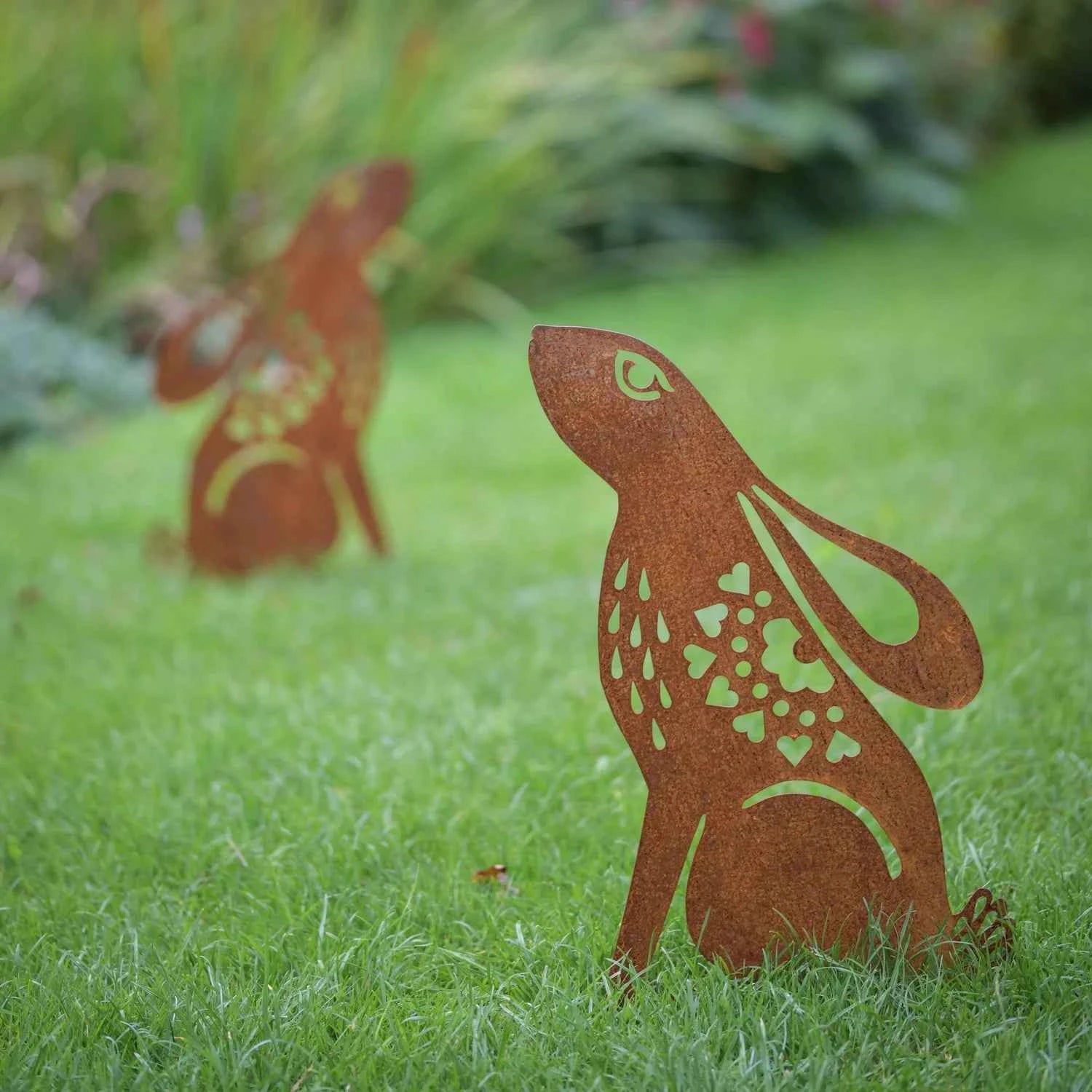 Stargazing hare Large