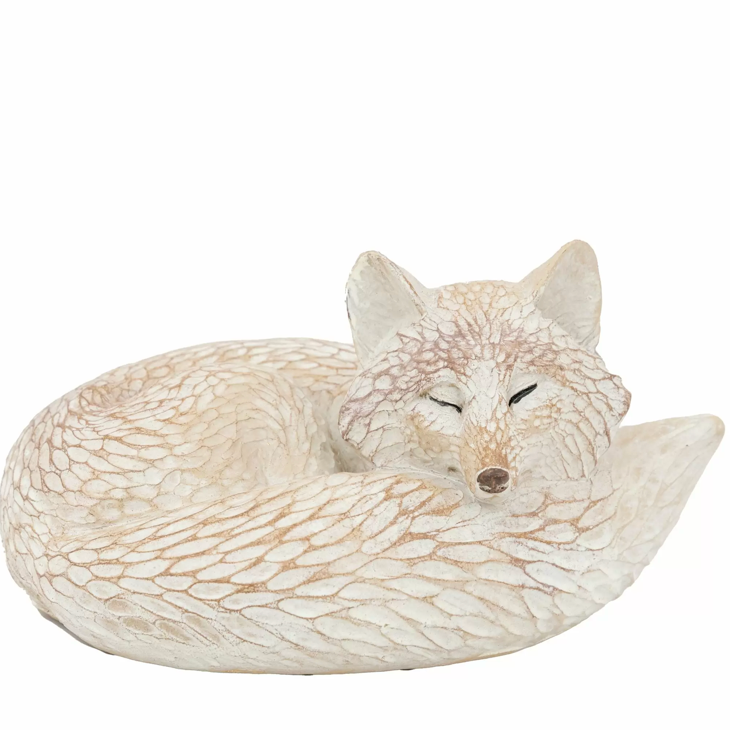Pearly White Fox - WowCornwall
