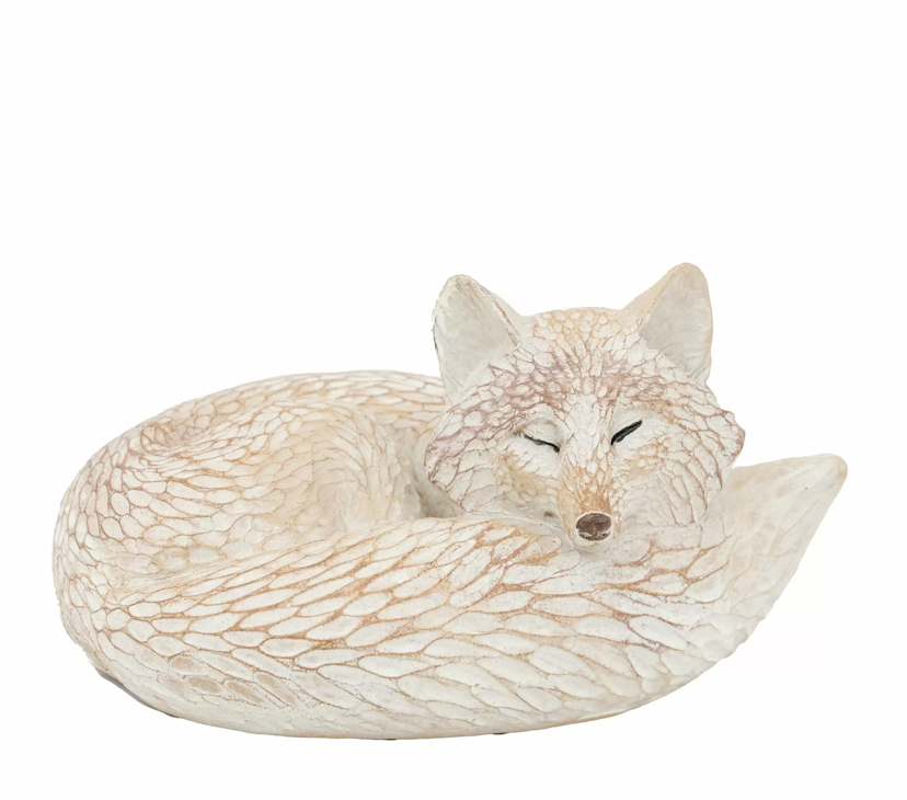 Pearly White Fox - WowCornwall