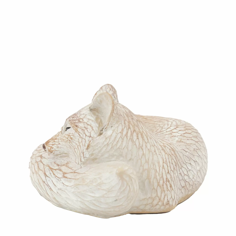 Pearly White Fox - WowCornwall