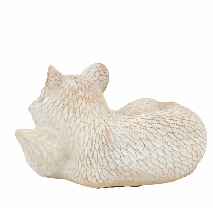 Pearly White Fox - WowCornwall