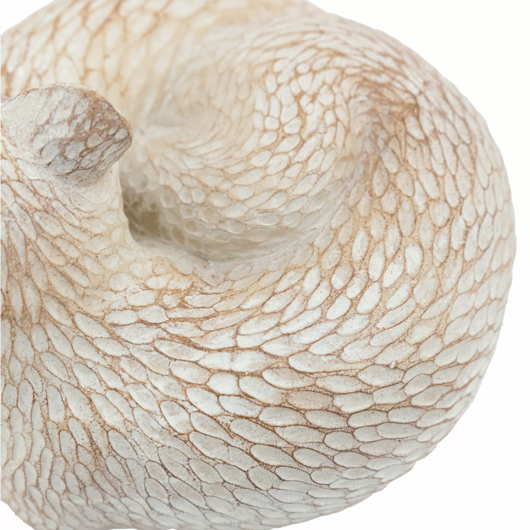 Pearly White Fox - WowCornwall