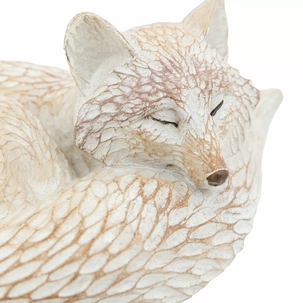 Pearly White Fox - WowCornwall
