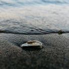 Sea Mist, Scented Tealights - WowCornwall