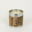 Sea Moss & Driftwood, Scented Tin Candle - WowCornwall
