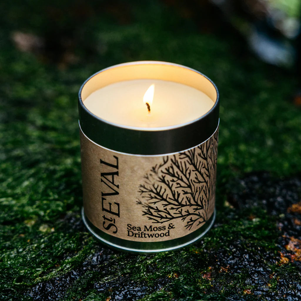 Sea Moss & Driftwood, Scented Tin Candle - WowCornwall