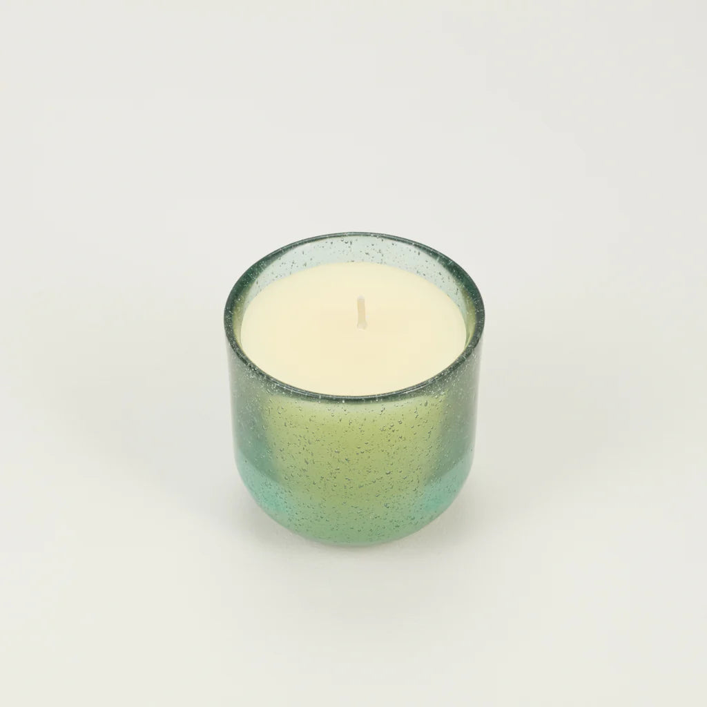 Sea Moss & Driftwood, Sea Garden Glass Candle - WowCornwall