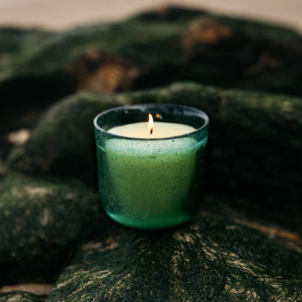 Sea Moss & Driftwood, Sea Garden Glass Candle - WowCornwall