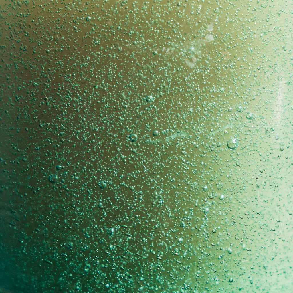 Sea Moss & Driftwood, Sea Garden Glass Candle - WowCornwall