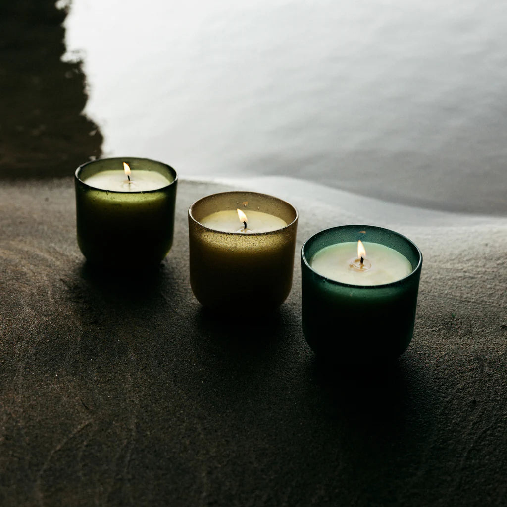 Sea Moss & Driftwood, Sea Garden Glass Candle - WowCornwall