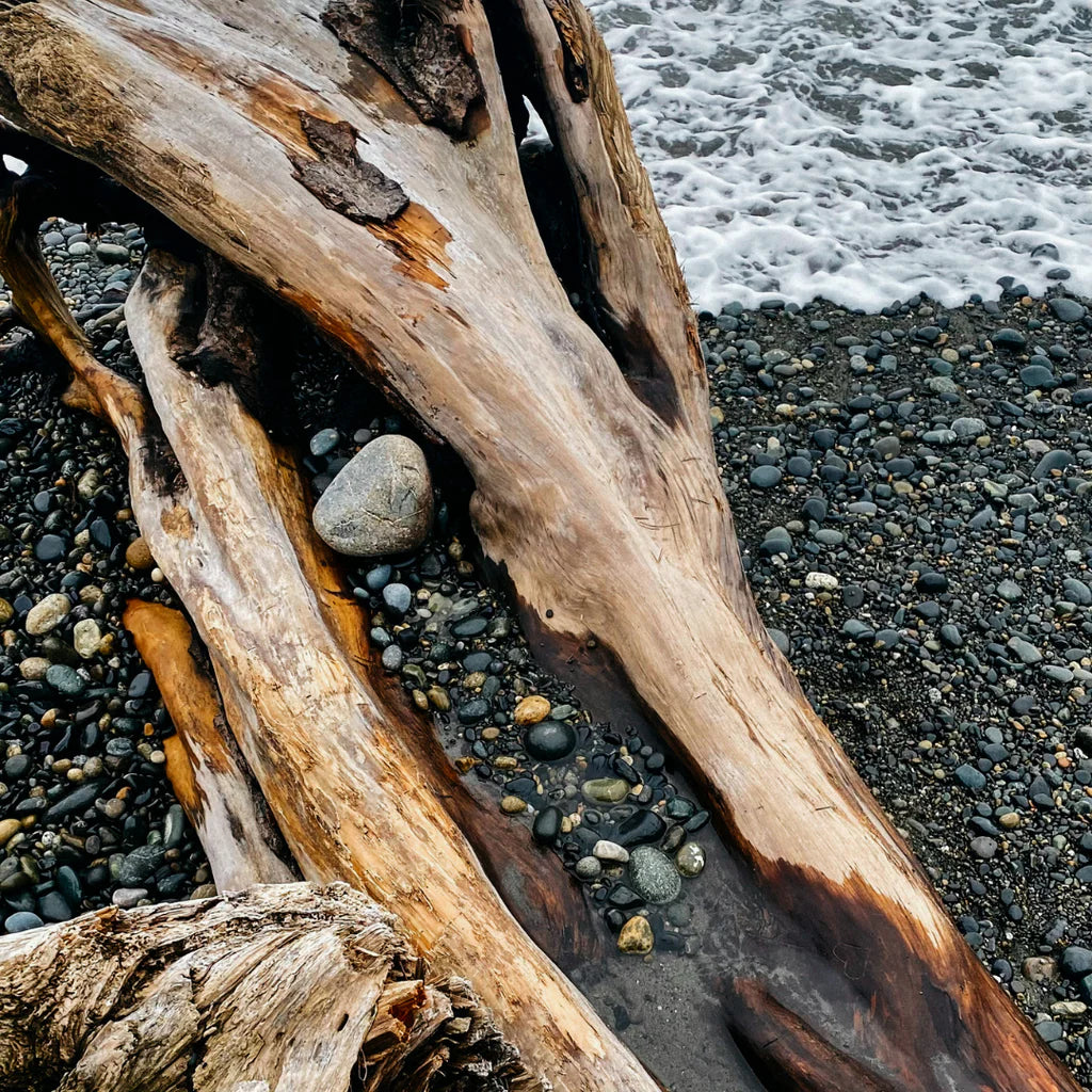 Sea Moss & Driftwood, Sea Garden Glass Candle - WowCornwall