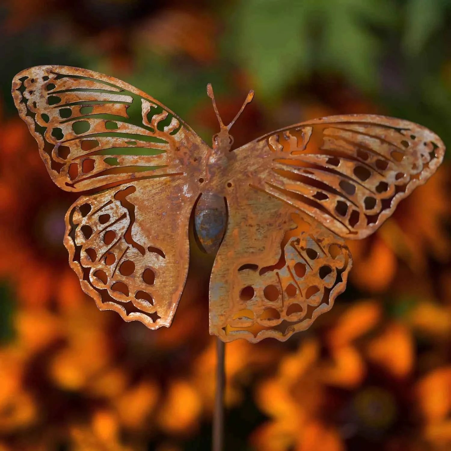 Silver Washed Fritillary
