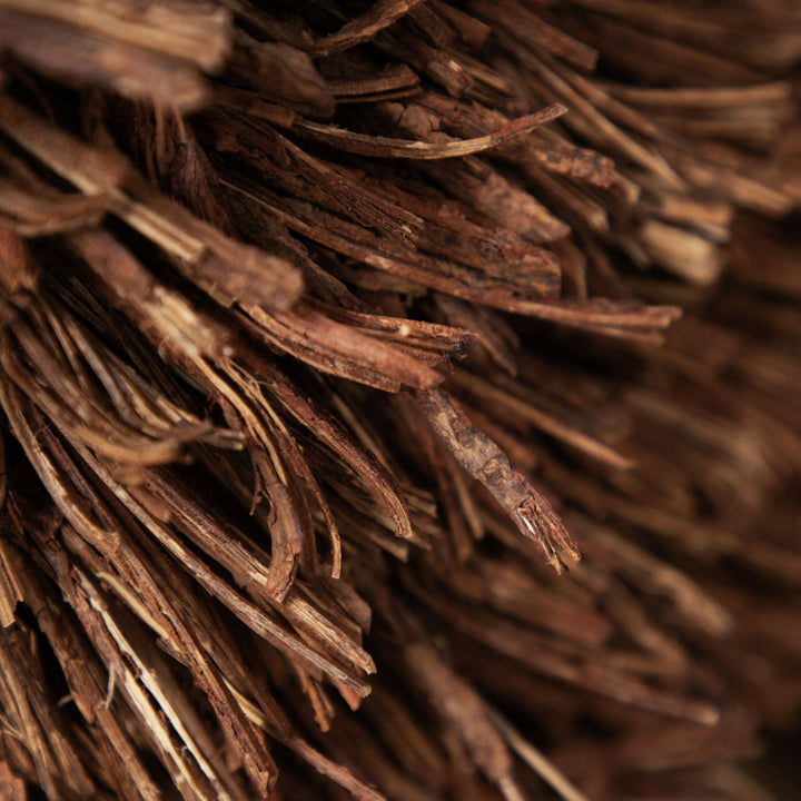 Stag Head Wooden Sculpture - WowCornwall