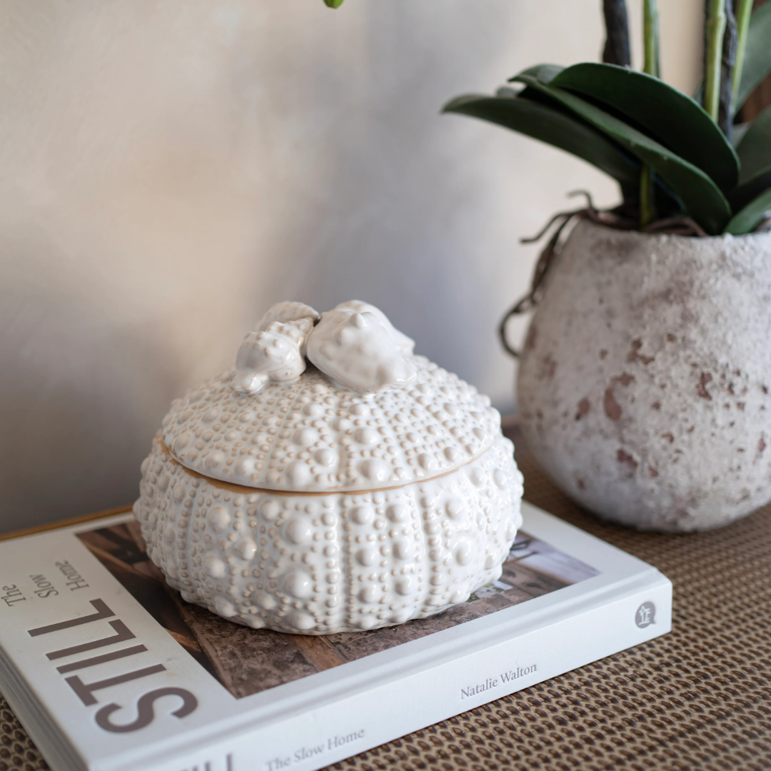 Urchin and Shell Trinket Jar