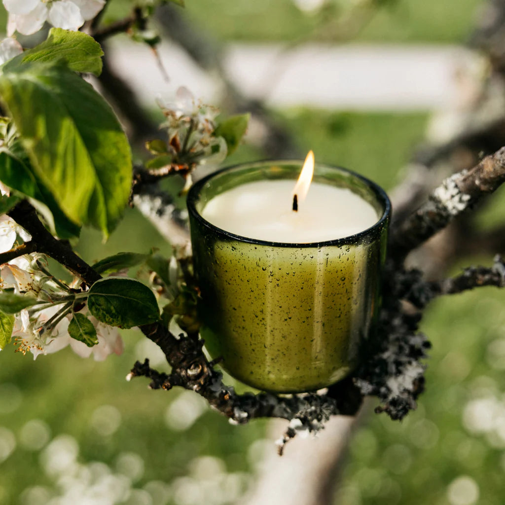 Walled Garden, Sea Garden Glass Candle - WowCornwall