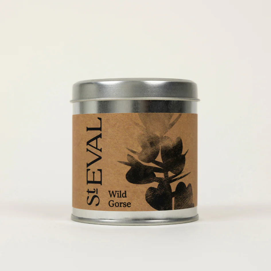 Wild Gorse, Scented Tin Candle - WowCornwall