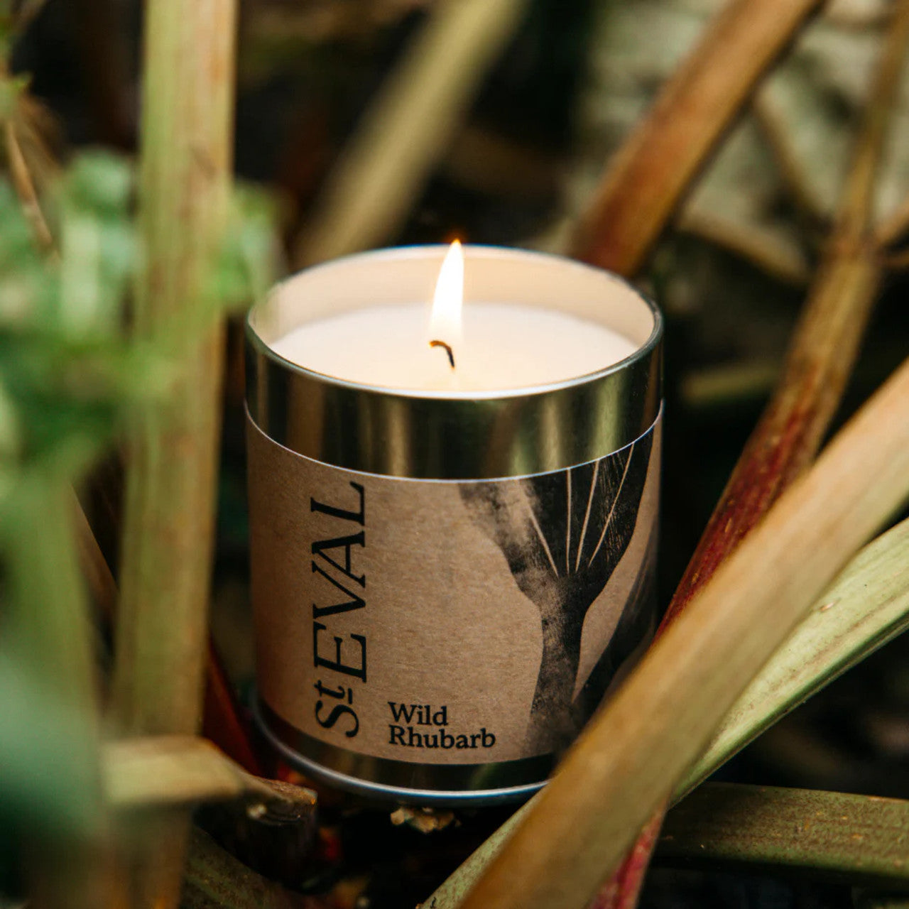 Wild rhubarb, Scented Tin Candle - WowCornwall
