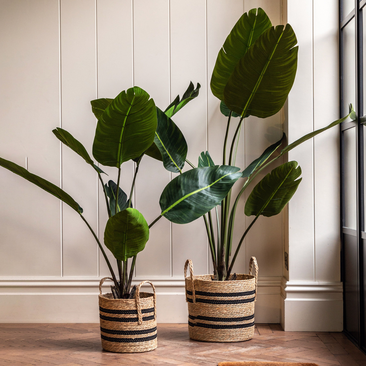 Indoor Plants & Planters