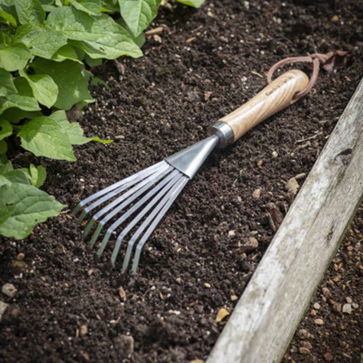 Hawkesbury Hand Rake - Ash Wood, Natural
