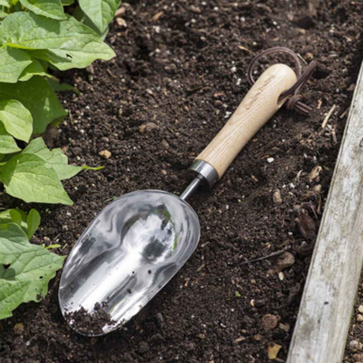 Hawkesbury Hand Scoop - Ash Wood, Natural