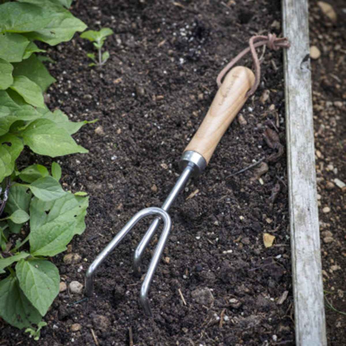 Hawkesbury Hand Cultivator - Ash Wood, Natural