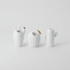 Mini Cactus Vases - WowCornwall