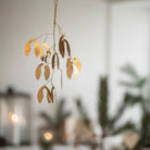 Hanging Brass Mistletoe Ornament - WowCornwall